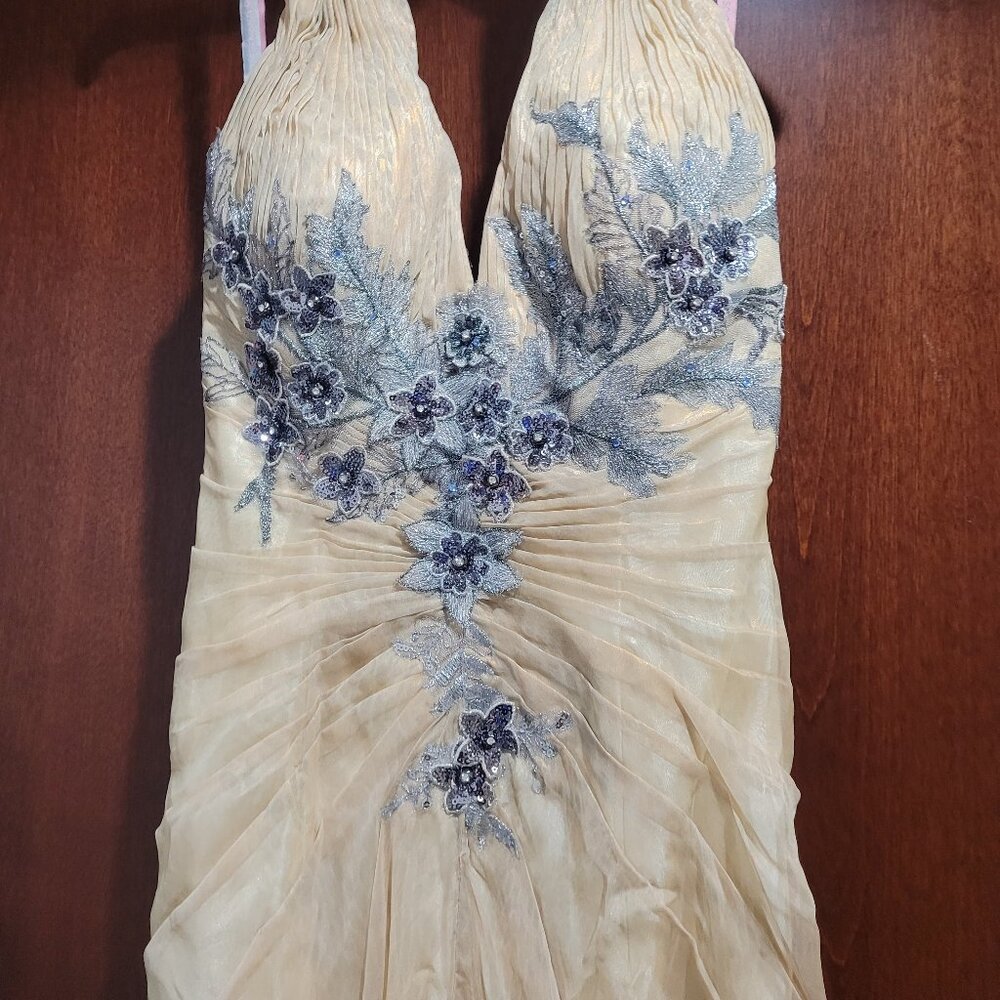 Blush Prom 9368 Size 2 Champagne Prom Dress - Picture 8 of 12